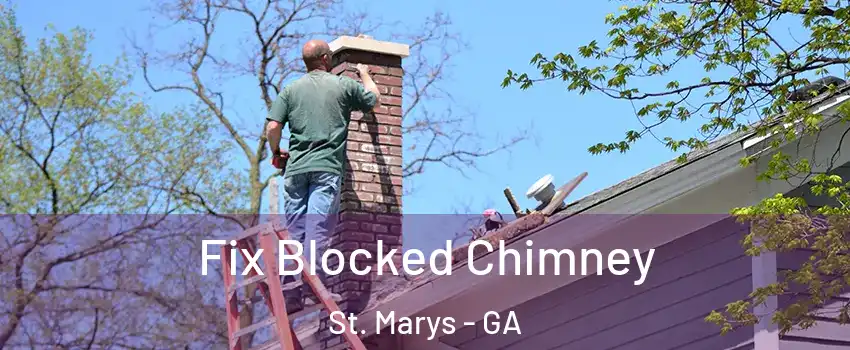  Fix Blocked Chimney St. Marys - GA