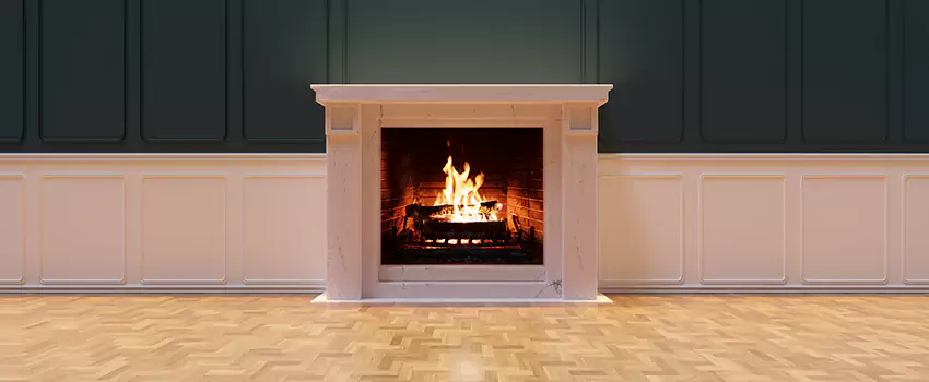 Napoleon Electric Fireplaces Inspection Service in St. Marys, Georgia